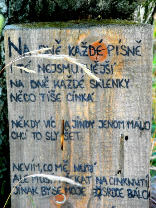 Po cestě posbírané verše dní ...
