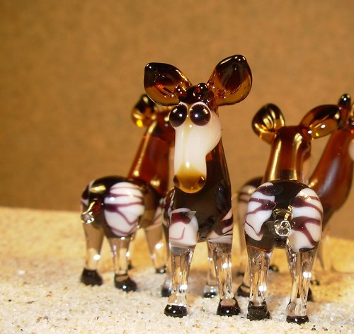 Okapi