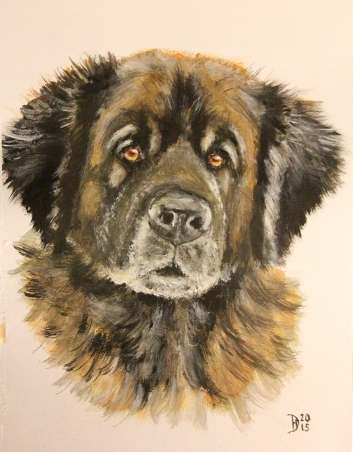 Leonberger Archie - autorský arch