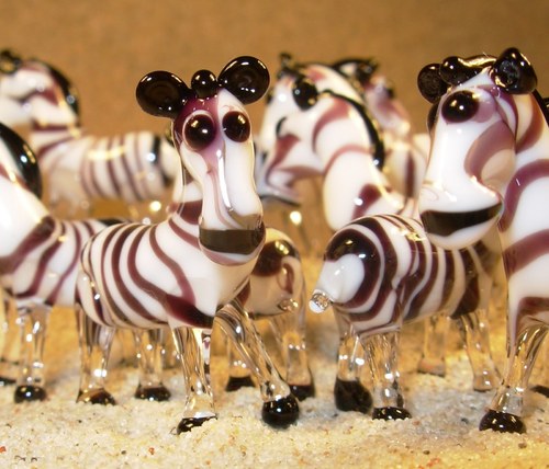 Zebra — foto 1