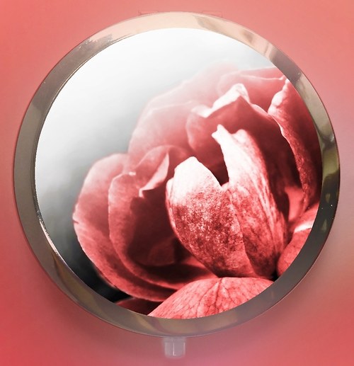 Red rose - text na přání