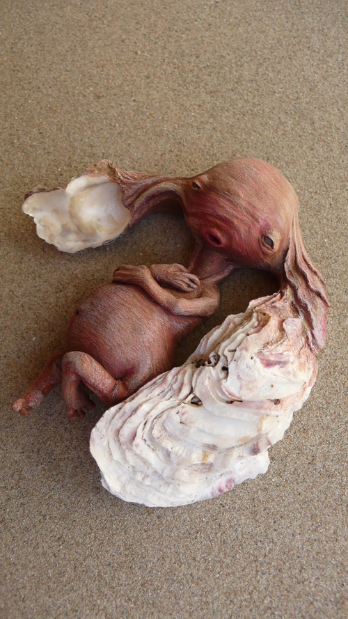 Křehotinka ušatá — foto 1