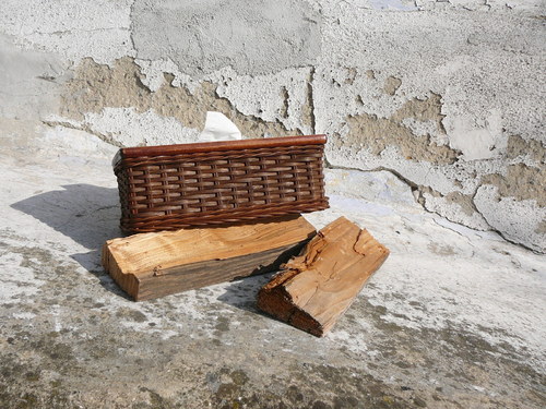 Kapesníkovník - hnědý pásek II. — foto 1