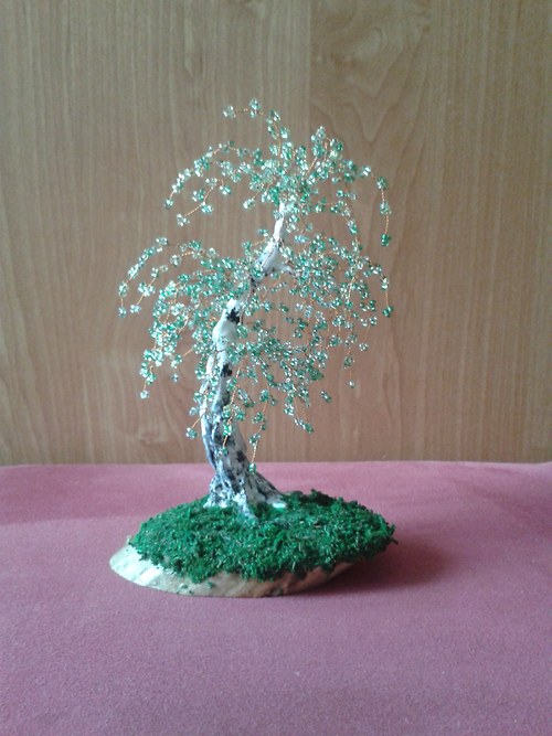 Jarní břízka 2 — foto 1
