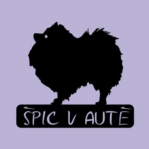 Samolepka Špic v autě - jméno na přání zdarma