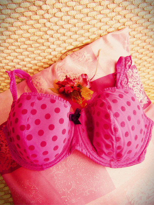Retro pink dots podprsenka — foto 1