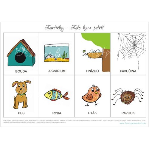 Kartičky - Co k sobě patří? (24 ks) — foto 1