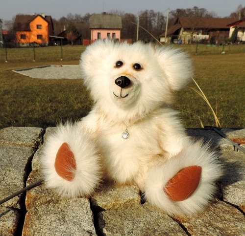 Čiko — foto 1