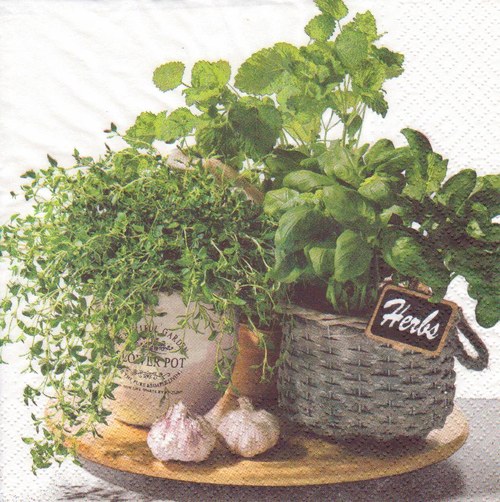 Ubrousek - česnek a bylinky — foto 1