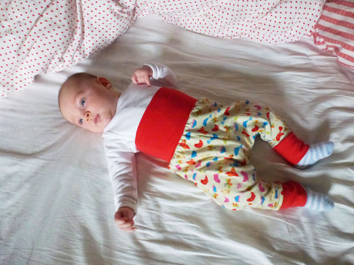 Rostoucí kalhoty ...od 1 měsíce — foto 1