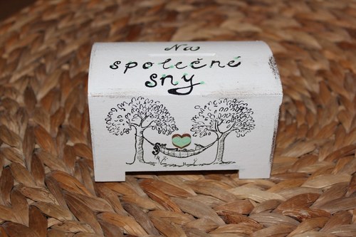 Pokladnička NA SPOLEČNÉ SNY — foto 1
