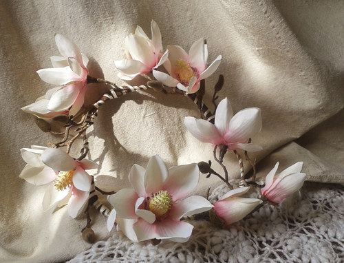 Magnóliová koruna — foto 1