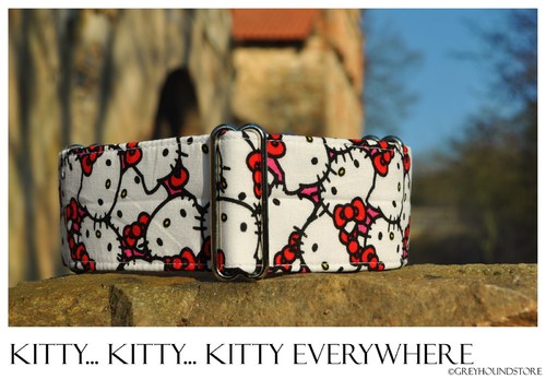 Kitty... Kitty... Kitty Everywhere — foto 1