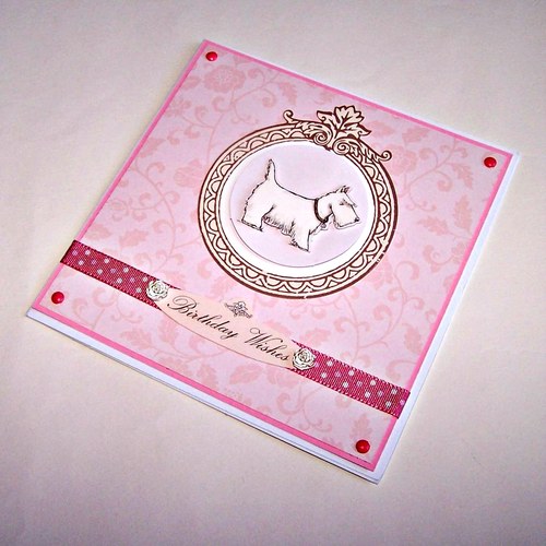 Přání - Pampered Pets No.1