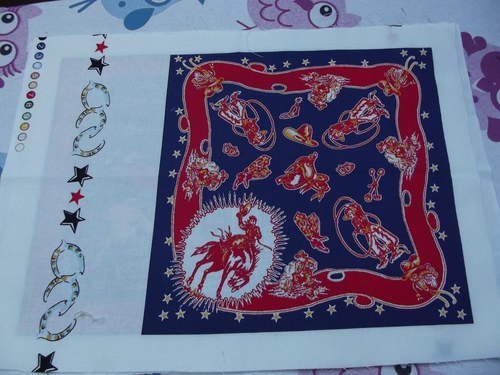Panel-western — foto 1