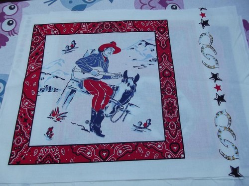 Panel-western — foto 1