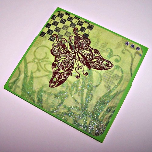 DVD Obal - Motýl No.2