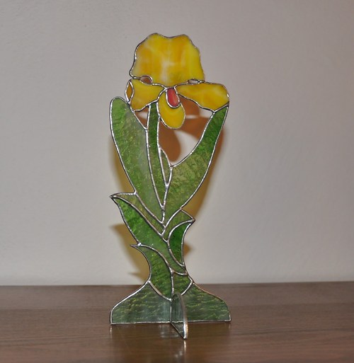 Orchidej — foto 1