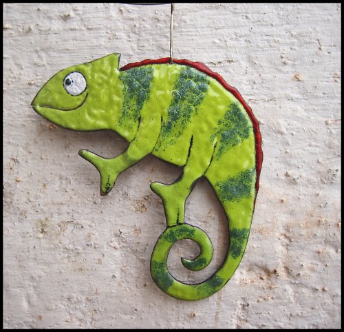 Chameleon na přání — foto 1