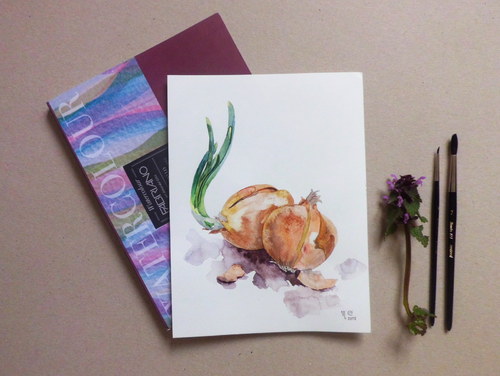 Cibule. Akvarel. — foto 1