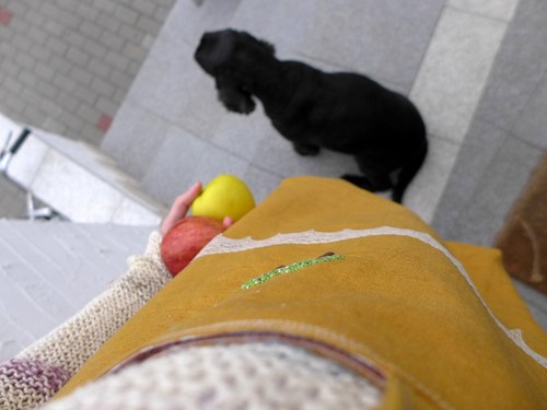 Na jablíčka. — foto 1
