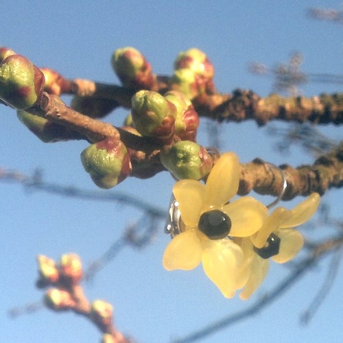 Žluté květinové náušnice — foto 1