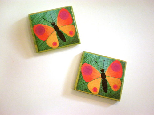 Motýlí magnet