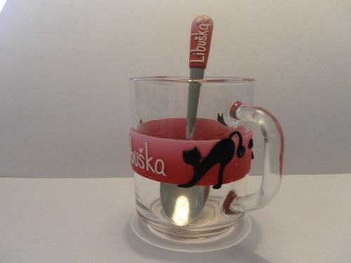 Černá kočka