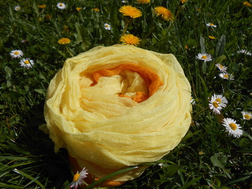 Jarní sluníčko - oranžová — foto 1