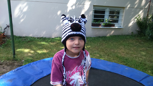 Čepice Zebra Proužkatá — foto 1