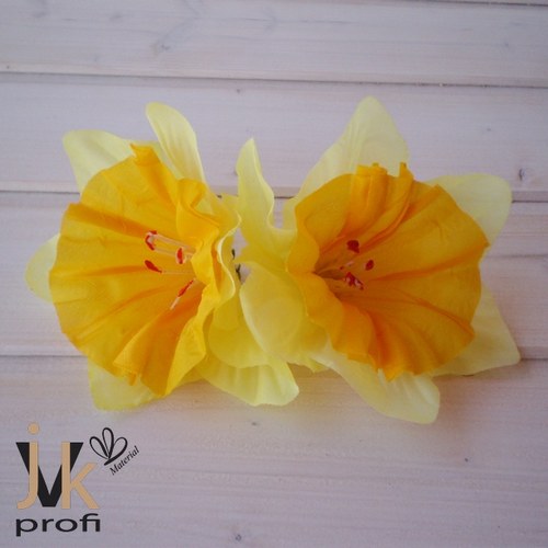 Narcis květ - velký — foto 1