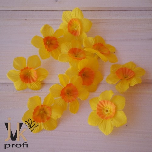 Narcis květ - malý — foto 1