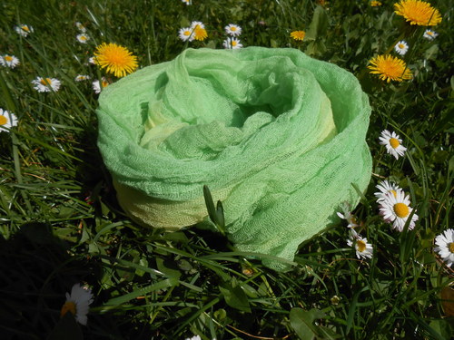 Jarní sluníčko - mentolová — foto 1