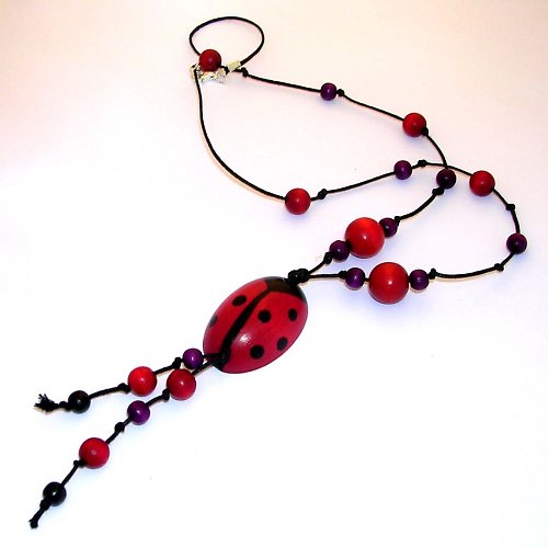 Crazy ladybug — foto 1