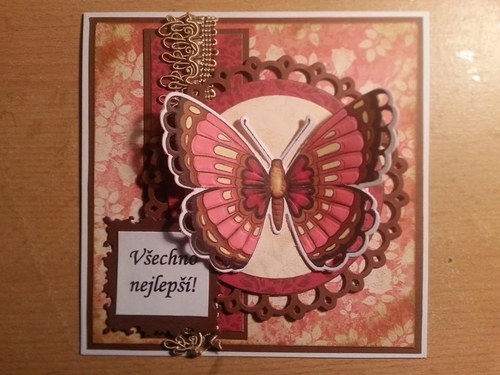 Motýl — foto 1