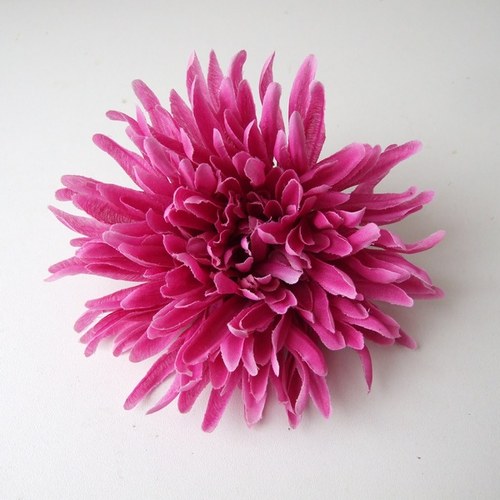 Květ chrysantémy — foto 1