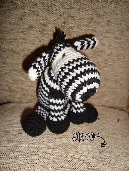 Zebra — foto 1