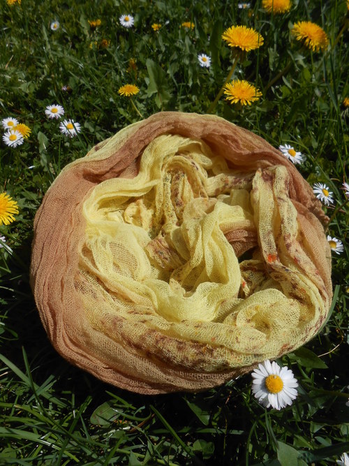 Jarní sluníčko - hnědá — foto 1