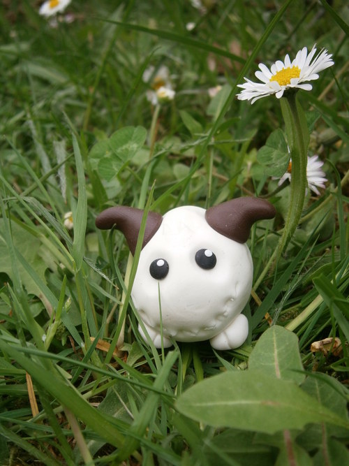 Poro I — foto 1