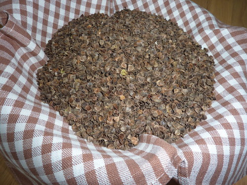 Pohankové slupky — foto 1