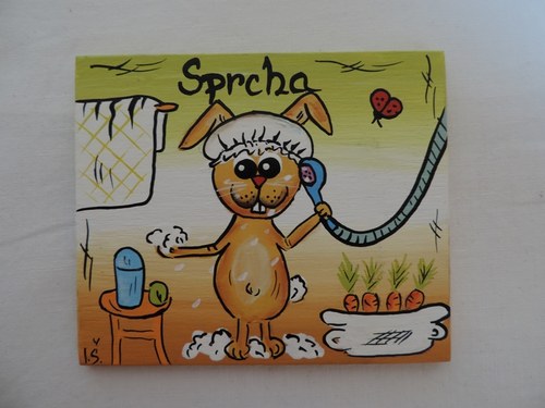 Cedulka na dveže-sprcha-zajíc