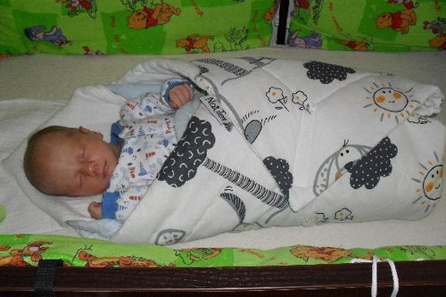 Zavinovačka mnoho vzorů na výběr — foto 1