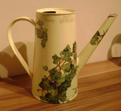 Hedera — foto 1