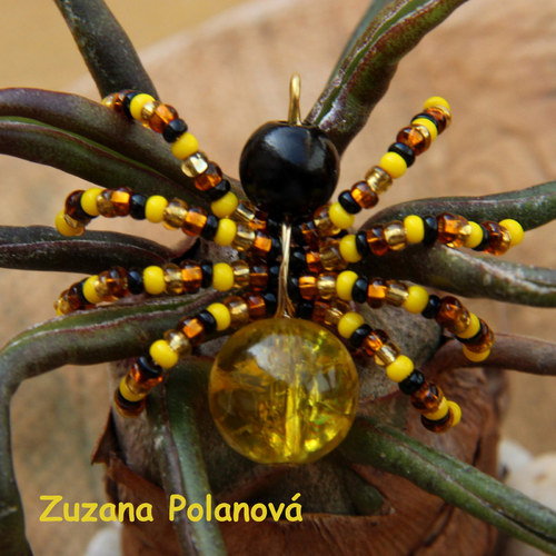 Pavouček žluto-černý — foto 1