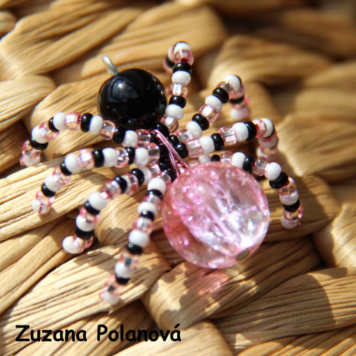 Pavouček růžovo-černý 1. — foto 1