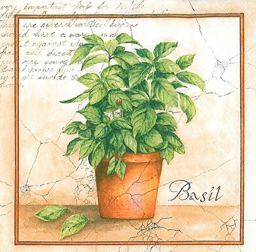 Ubrousek Bazalka — foto 1