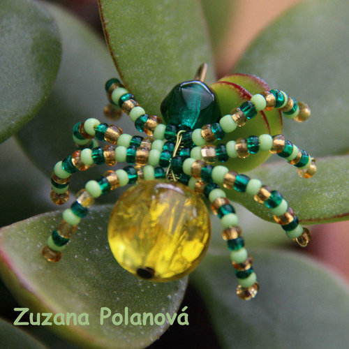 Pavouček žluto-zelený — foto 1