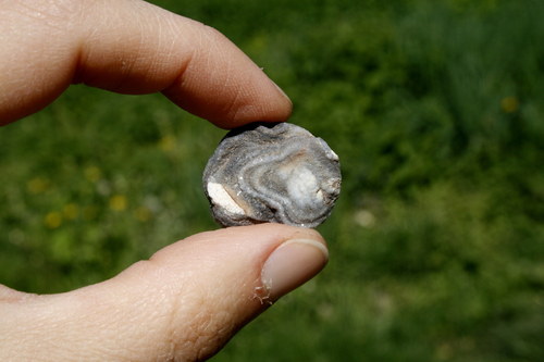 Chalcedonová růže - hadí achát K15/15