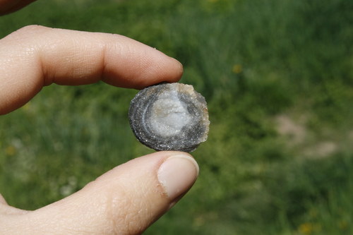 Chalcedonová růže - hadí achát K15/19