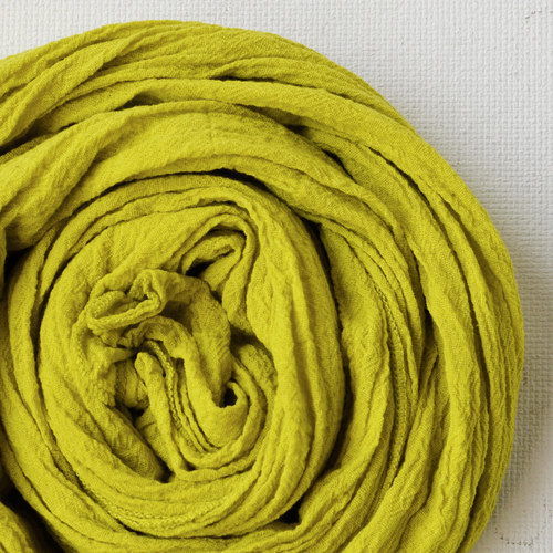 Citron a limetka — foto 1